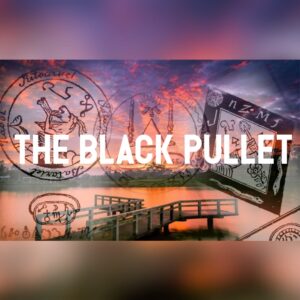 Read more about the article The Black Pullet