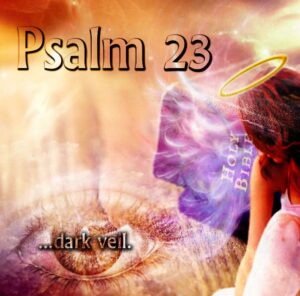 Read more about the article Psalm 23: To See Through The Dark Veil.