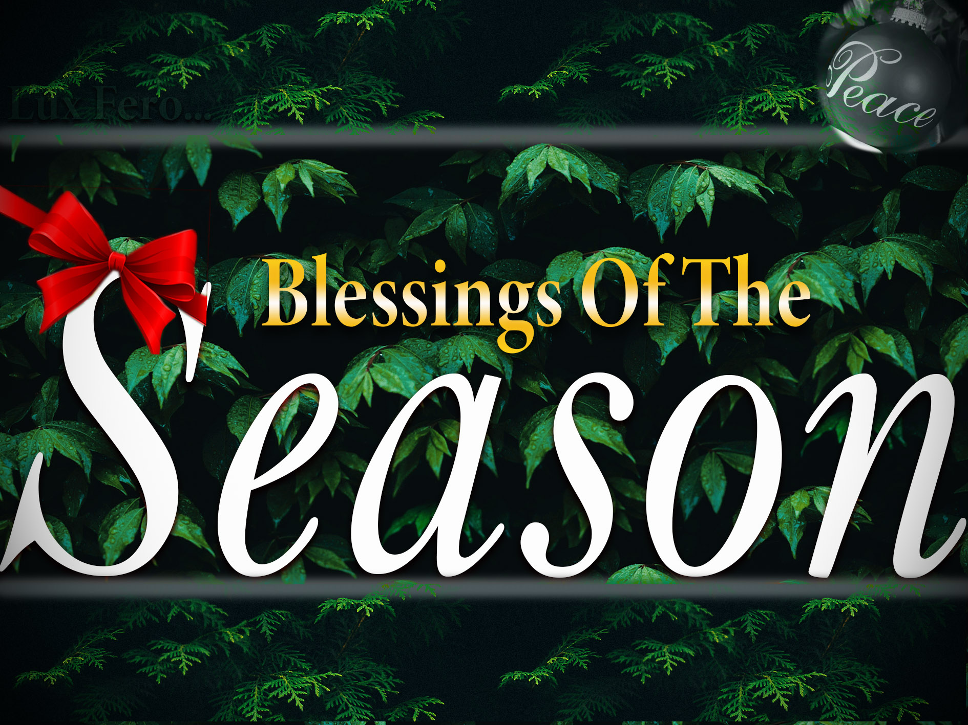 You are currently viewing Blessings Of The Season